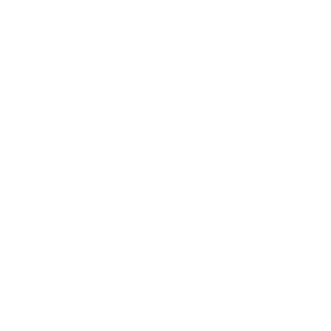 EM99 Logo